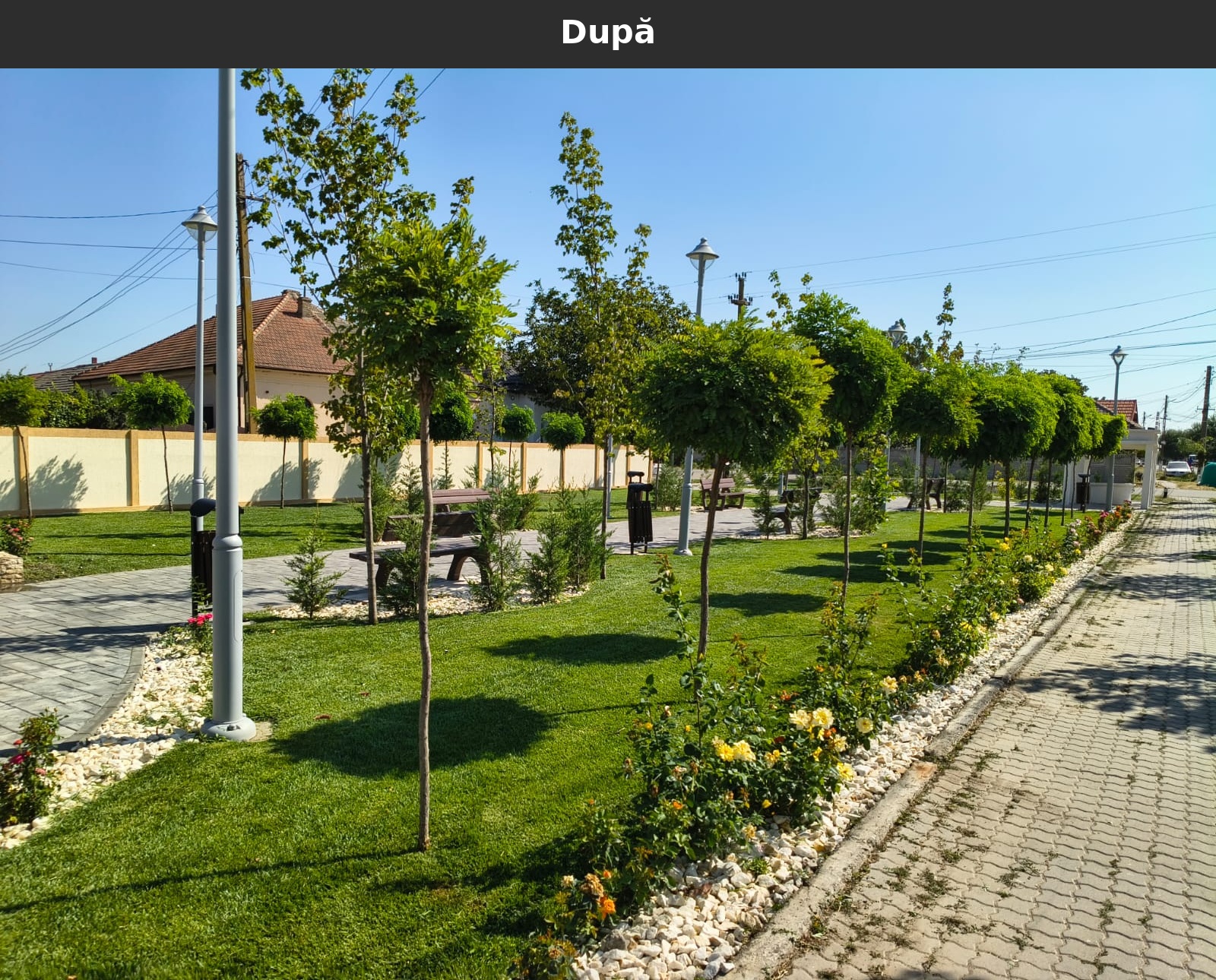 Dupa_04.jpg