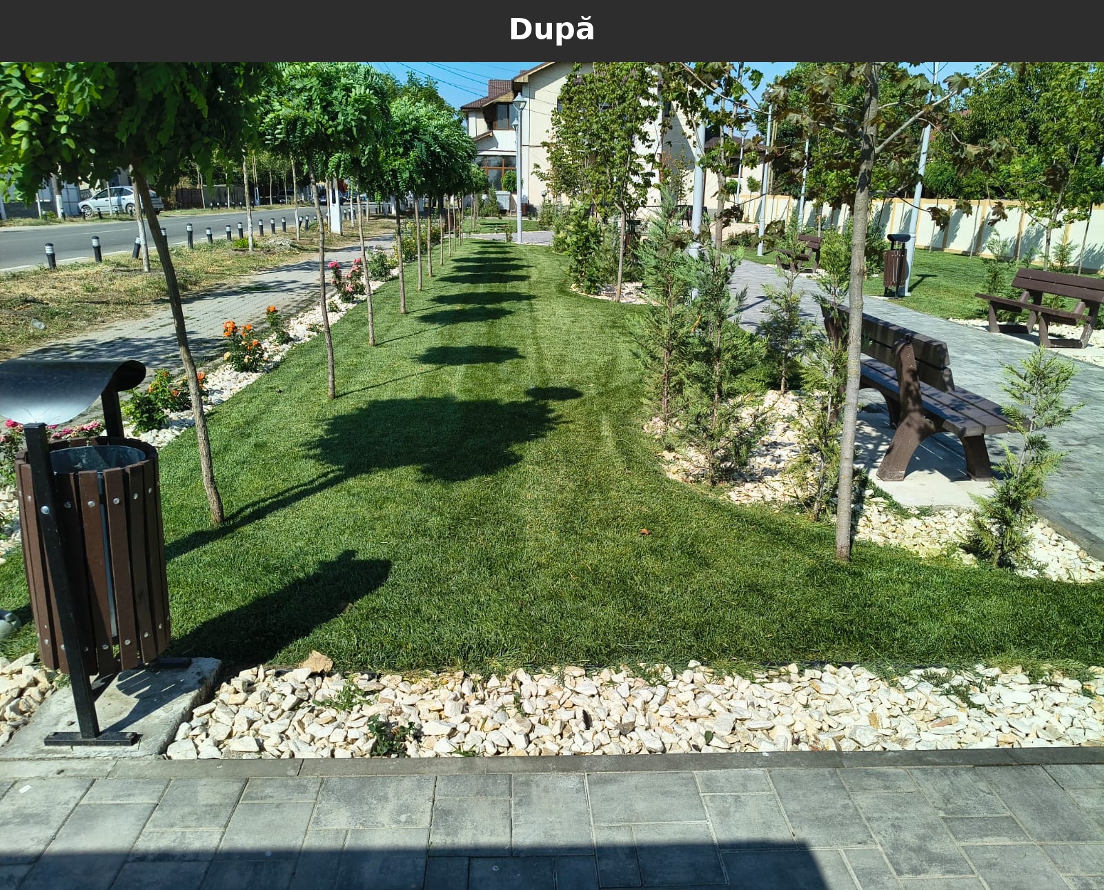 Dupa_08.jpg