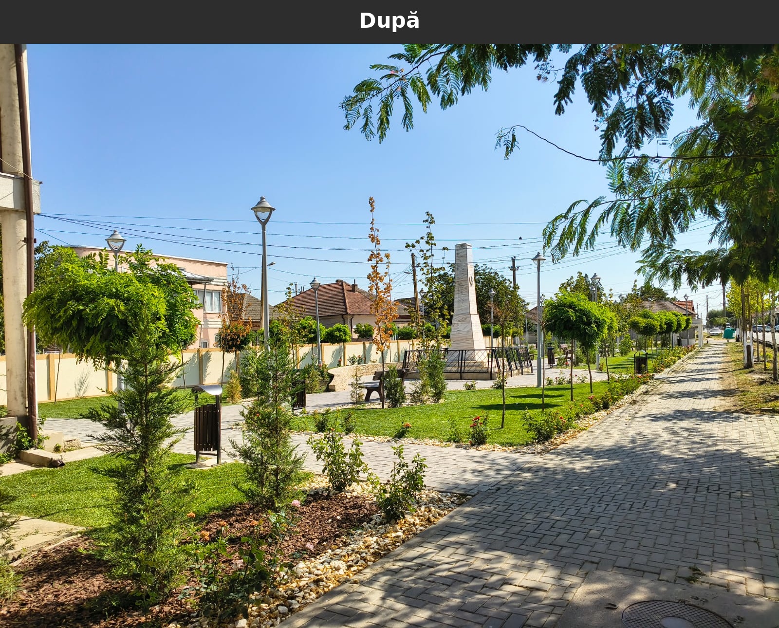 Dupa_11.jpg