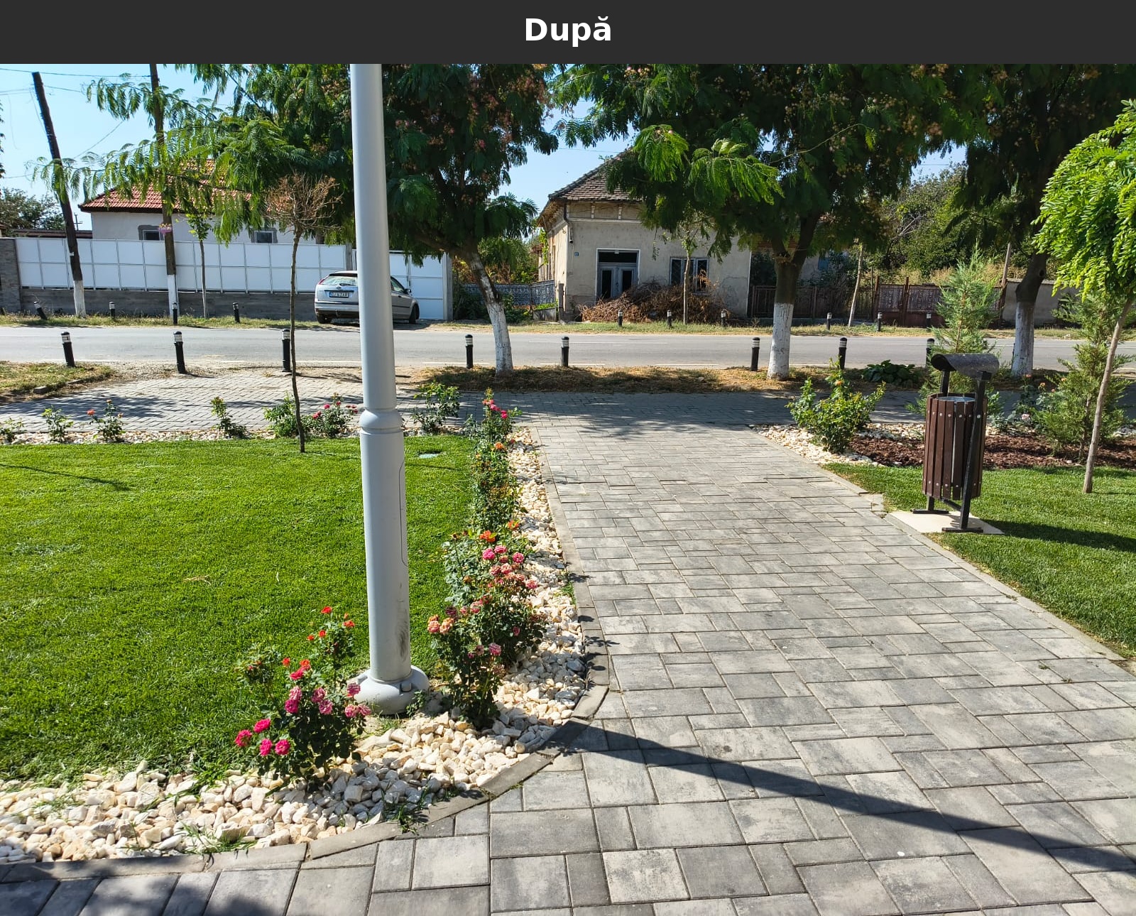 Dupa_12.jpg