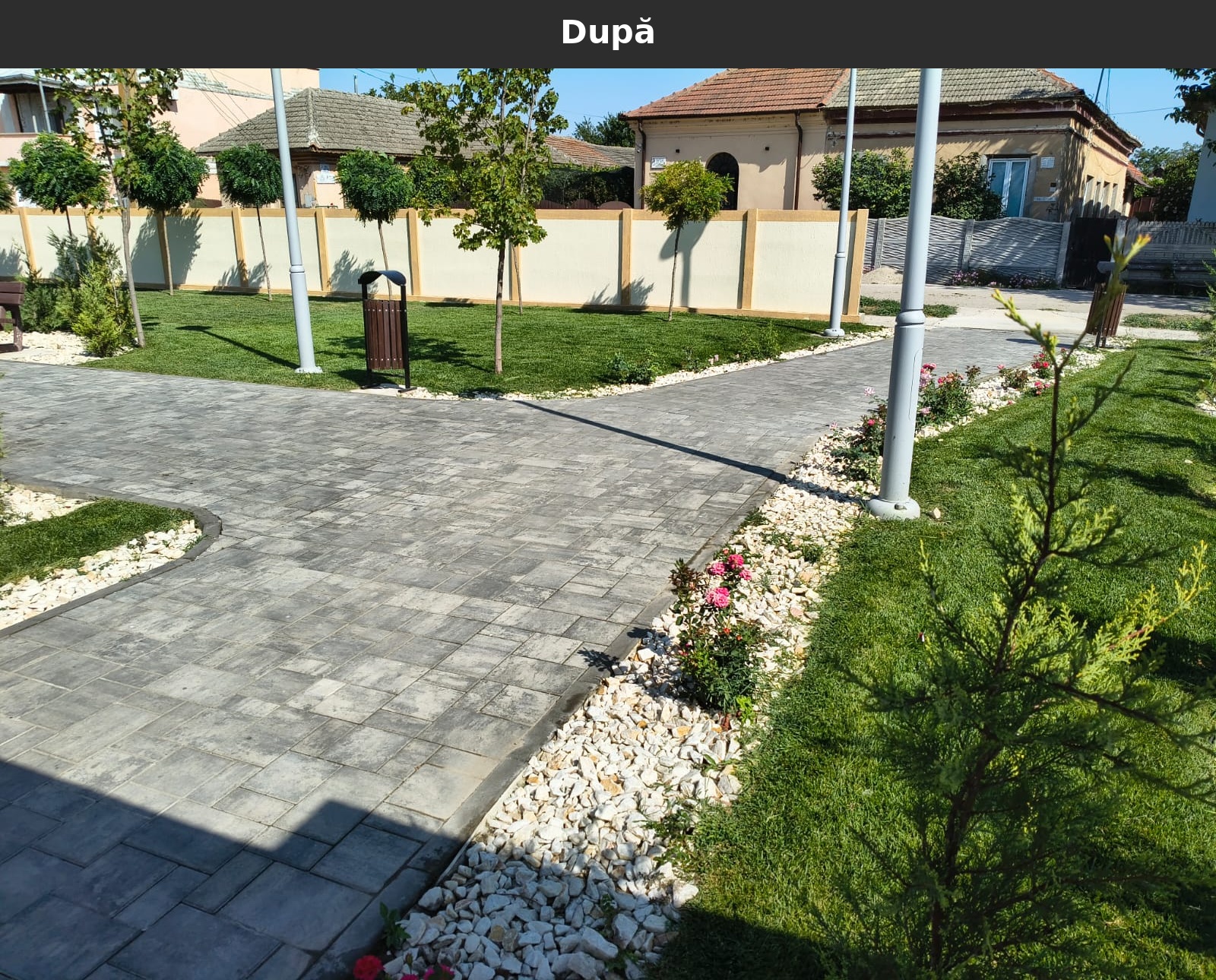 Dupa_14.jpg