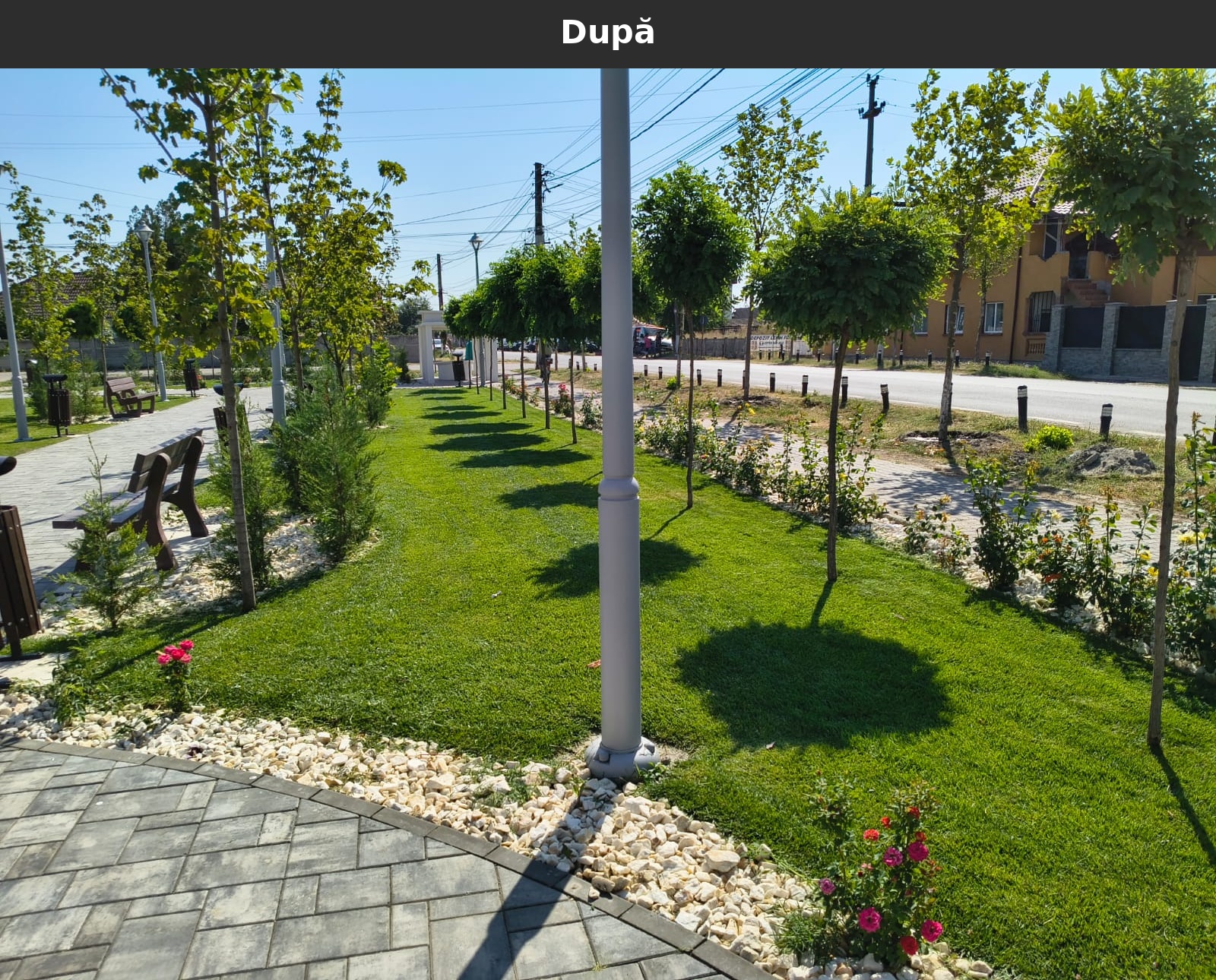 Dupa_15.jpg