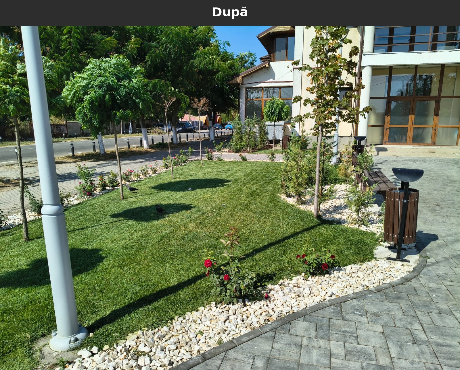 Dupa_16.jpg
