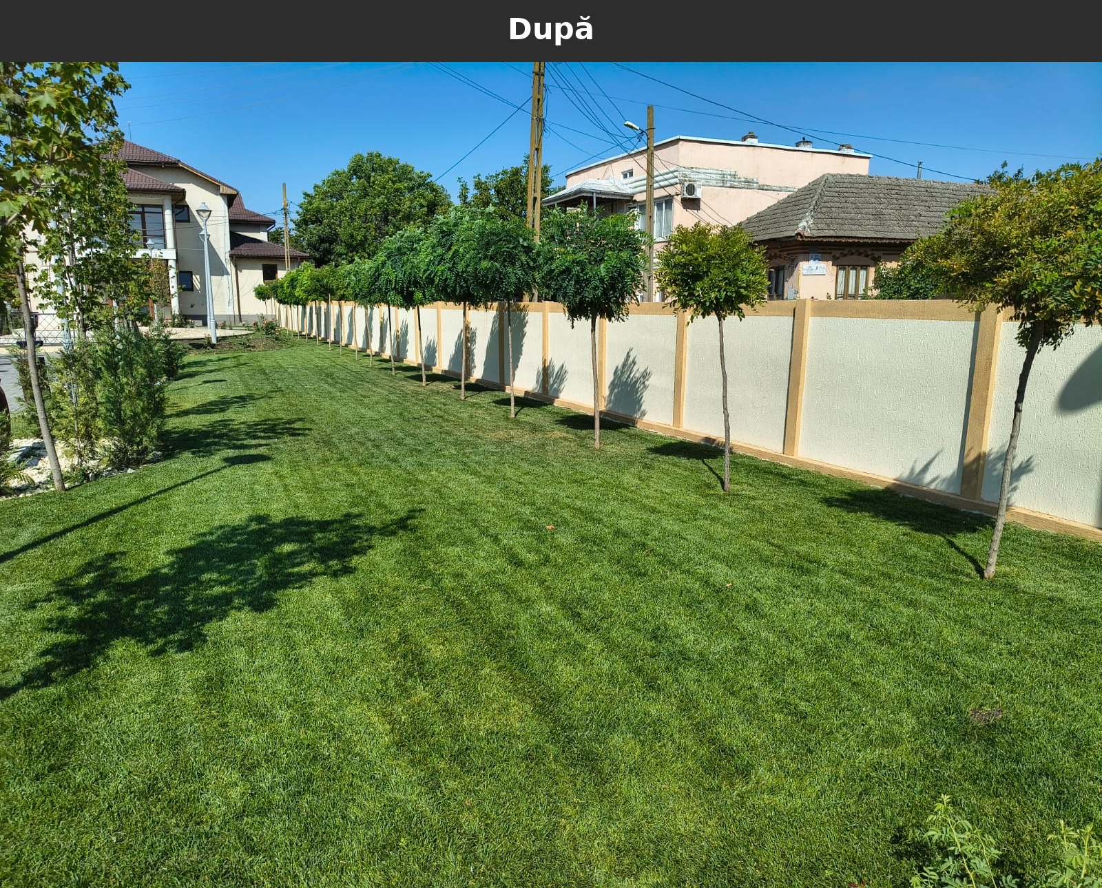 Dupa_17.jpg