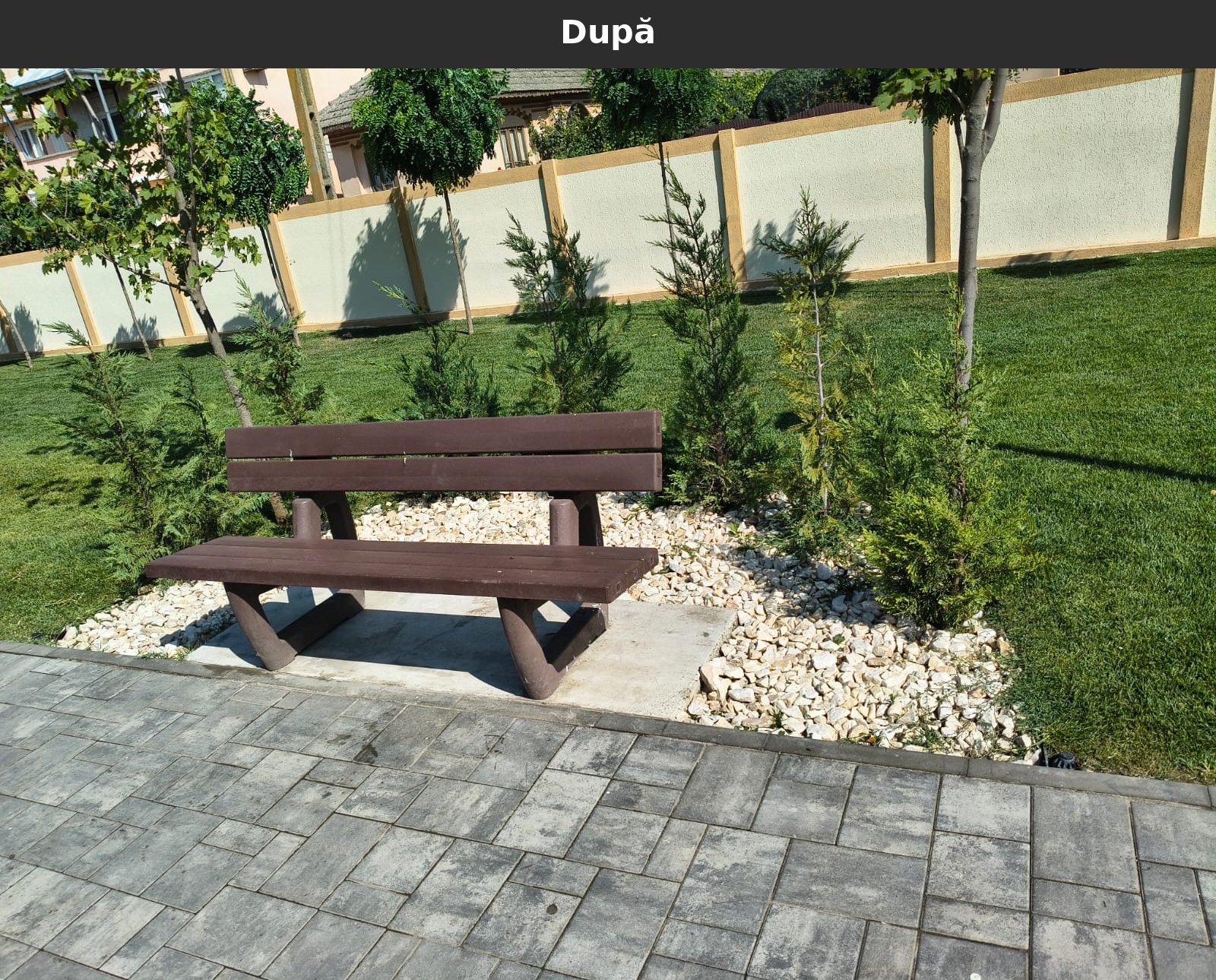 Dupa_19.jpg