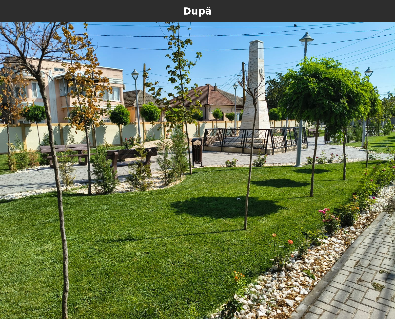 Dupa_21.jpg