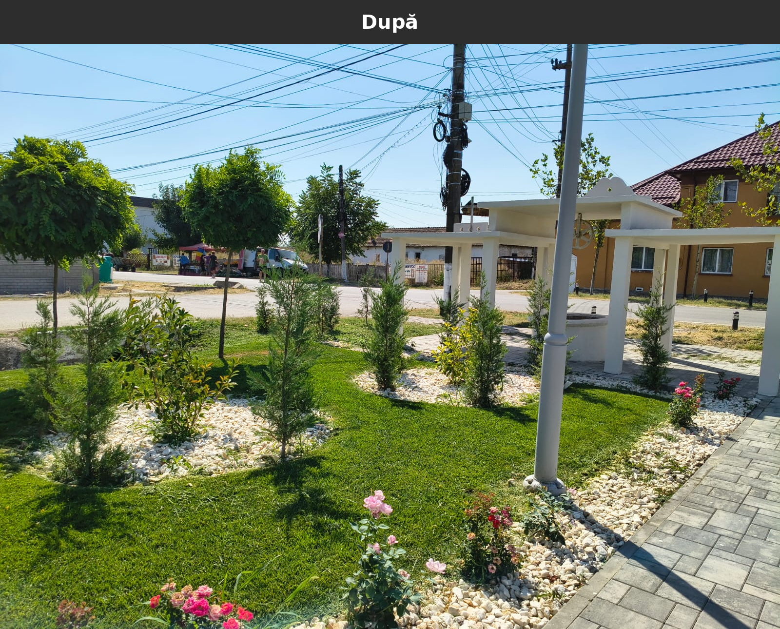Dupa_23.jpg