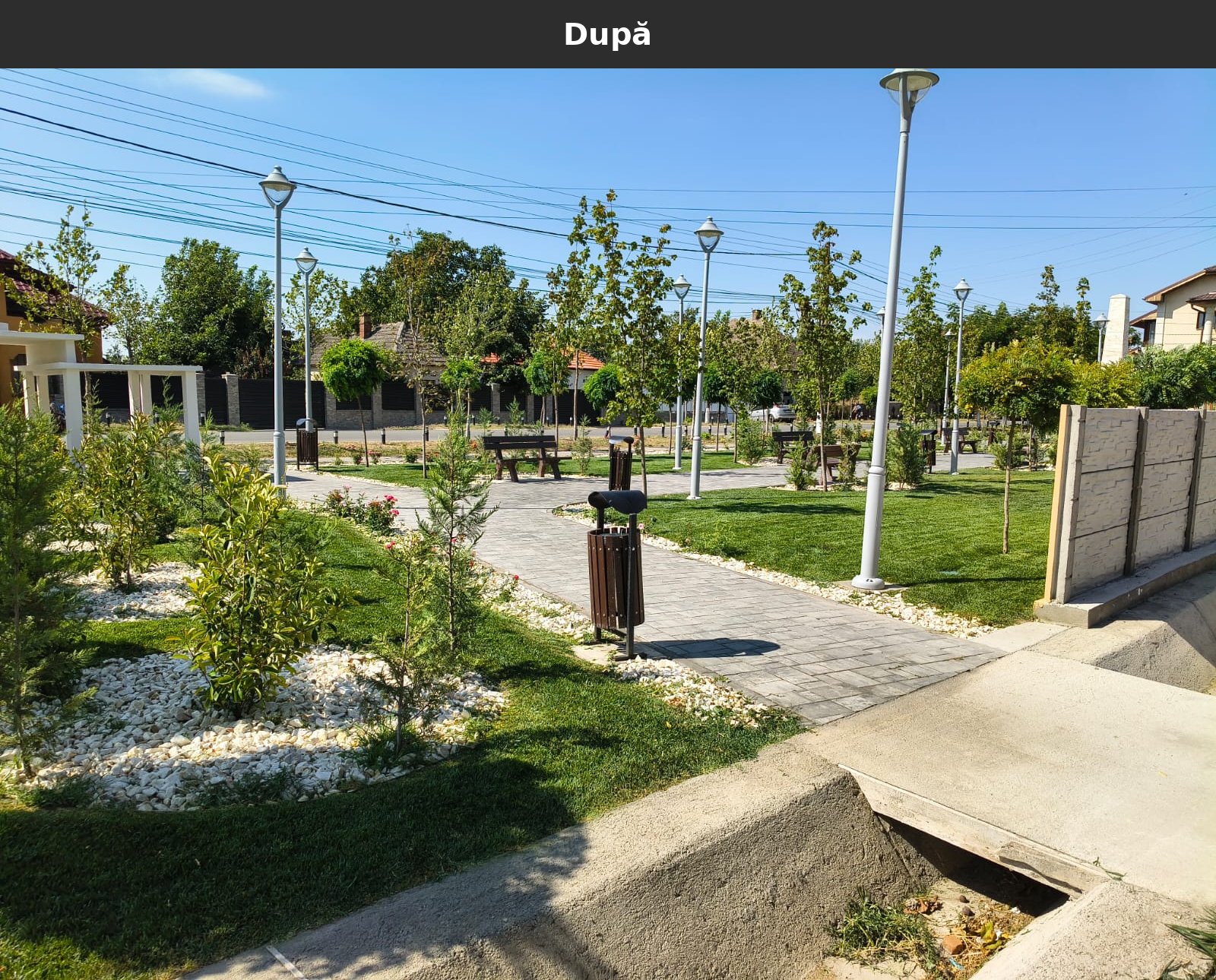 Dupa_24.jpg