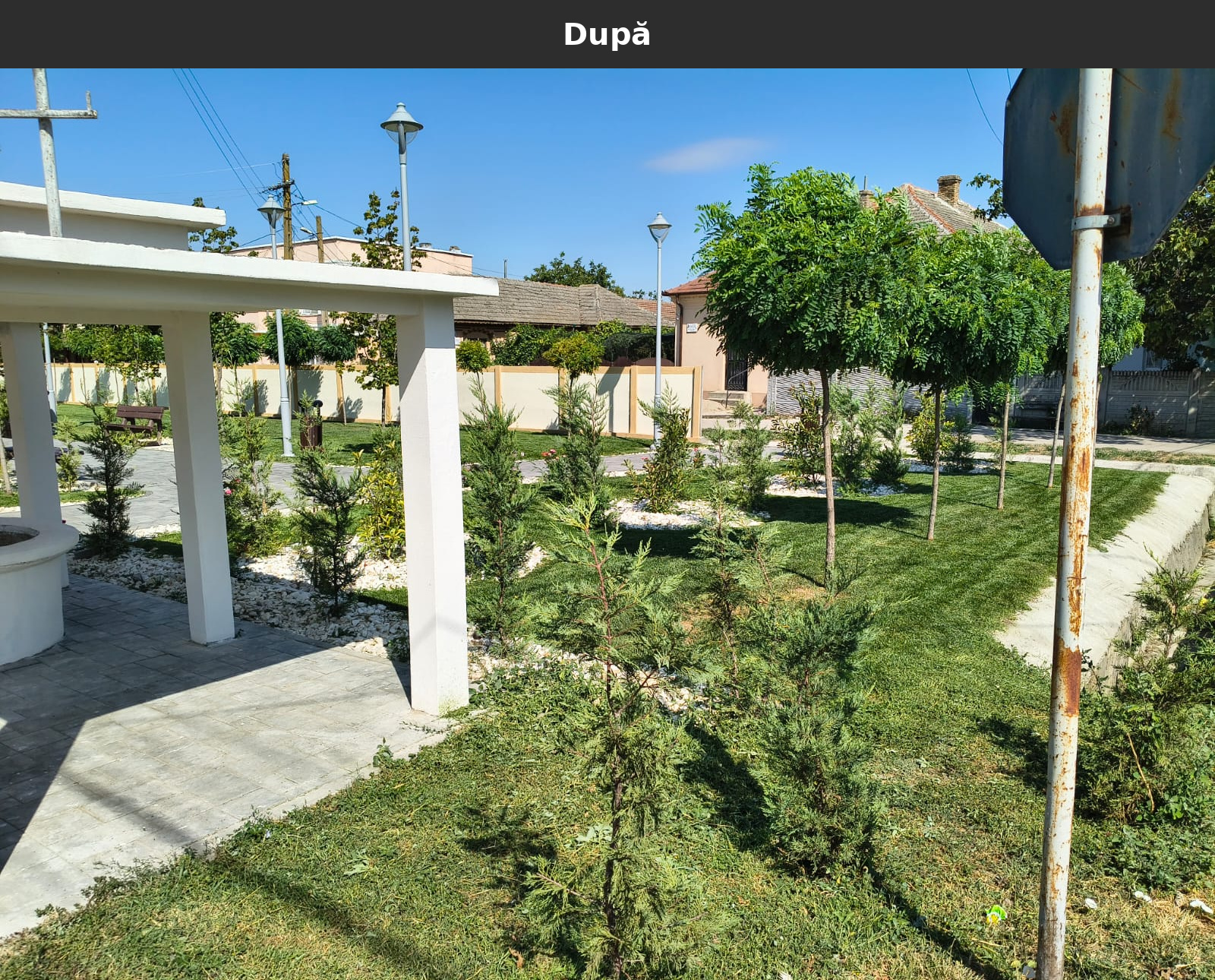 Dupa_25.jpg