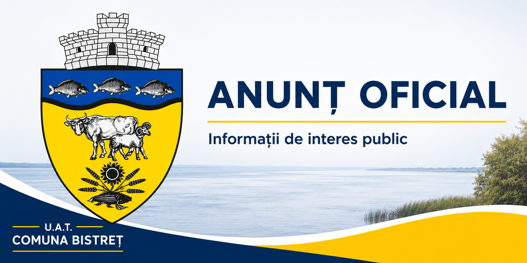 Imagine implicită pentru anunțuri